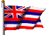 The flag of Hawaii